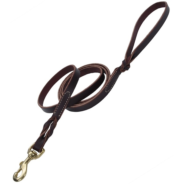 Coastal Pet Coastal Latigo Leather Twist Dog Leash with Solid Brass 5/8 in 3814 - main